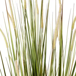 Fox Tail Grass Green/White - 70cm x 70cm x 170cm by null, a Plants for sale on Style Sourcebook