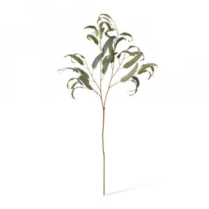 Gum Leaf Spray Green - 90cm by null, a Plants for sale on Style Sourcebook