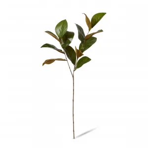 Magnolia Leaf Green Spray - 25cm x 16cm x 76cm by null, a Plants for sale on Style Sourcebook