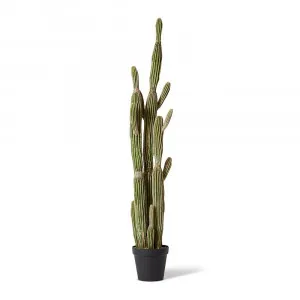 Saguaro Cactus Potted Plant Green - 30cm x 30cm x 152cm by null, a Plants for sale on Style Sourcebook