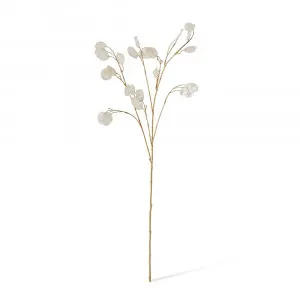 Silver Dollar Spray Pearl - 94cm by null, a Plants for sale on Style Sourcebook