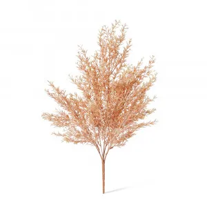 Tea Leaf Bush Salmon - 32cm x 32cm x 53cm by null, a Plants for sale on Style Sourcebook