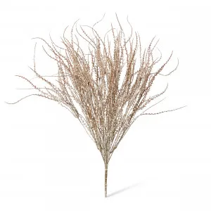 Wheat Grass Bush Natural - 60cm by null, a Plants for sale on Style Sourcebook