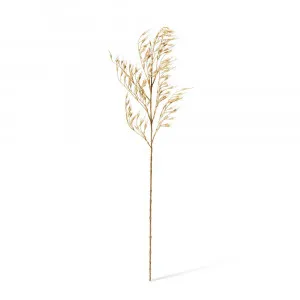 Wheat Grass Stem Natural - 18cm x 8cm x 89cm by null, a Plants for sale on Style Sourcebook