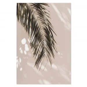 Palm Leaf Shadows by Gioia Wall Art, a Prints for sale on Style Sourcebook
