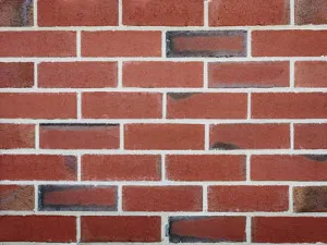 Civic Series - Civic Flashed Blue | Certified Carbon Neutral Product by Daniel Robertson, a Bricks for sale on Style Sourcebook