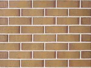 Pottery Blend - Clay Blush by Austral Bricks, a Bricks for sale on Style Sourcebook