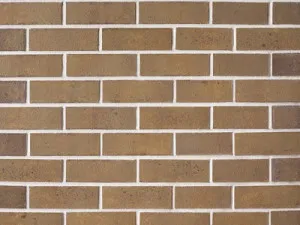 Pottery Blend - Warm Tan by Austral Bricks, a Bricks for sale on Style Sourcebook
