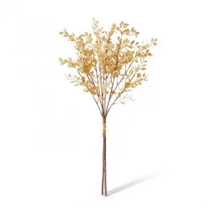 Eucalyptus Decor Bundle - 25 x 25 x 72cm by null, a Plants for sale on Style Sourcebook