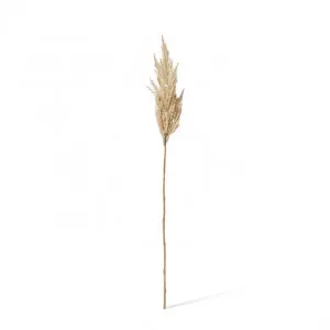 Pampas Grass Stem - 10 x 10 x 83cm by null, a Plants for sale on Style Sourcebook