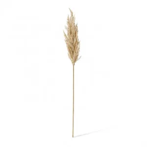 Pampas Grass Stem - 10 x 10 x 94cm by null, a Plants for sale on Style Sourcebook