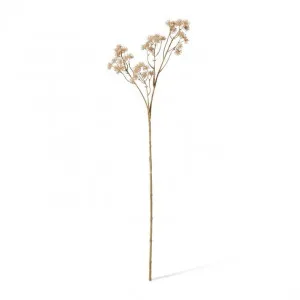 Aralia Deco Seed Spray - 13 x 11 x 84cm by null, a Plants for sale on Style Sourcebook