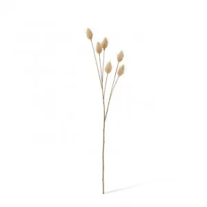 Bunny Tail Spray - 11 x 3 x 71cm by null, a Plants for sale on Style Sourcebook