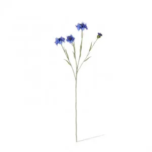 Corn Flower Spray - 8 x 3 x 61cm by null, a Plants for sale on Style Sourcebook