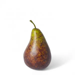 Pear Bartlet - 7 x 7 x 13cm by null, a Plants for sale on Style Sourcebook