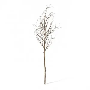 Twig Branch - 50 x 40 x 109cm by null, a Plants for sale on Style Sourcebook