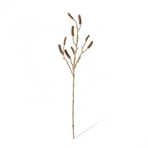 Callistemon Spray - 16 x 12 x 89cm by null, a Plants for sale on Style Sourcebook