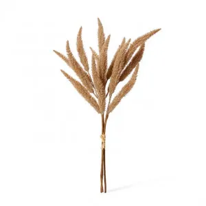Foxtail Decor Bundle - 28 x 28 x 65cm by null, a Plants for sale on Style Sourcebook