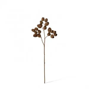 Gum Nut Dried Look Spray - 22 x 10 x 48cm by null, a Plants for sale on Style Sourcebook
