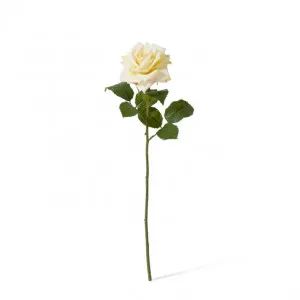 Rose Classic Stem - 9 x 7 x 46cm by null, a Plants for sale on Style Sourcebook