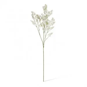 Limonium Spray - 16 x 5 x 100cm by null, a Plants for sale on Style Sourcebook
