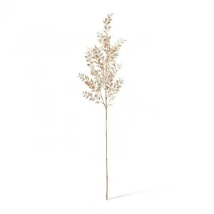 Ruscus Deco Spray - 28 x 12 x 94cm by null, a Plants for sale on Style Sourcebook