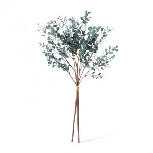 Eucalyptus Decor Bundle - 25 x 25 x 72cm by null, a Plants for sale on Style Sourcebook