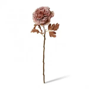 Peony Decor Stem - 17 x 17 x 69cm by null, a Plants for sale on Style Sourcebook