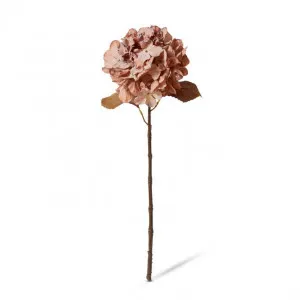 Hydrangea Anna Decor Stem - 20 x 20 x 63cm by null, a Plants for sale on Style Sourcebook