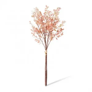 Eucalyptus Decor Bundle - 25 x 25 x 72cm by null, a Plants for sale on Style Sourcebook