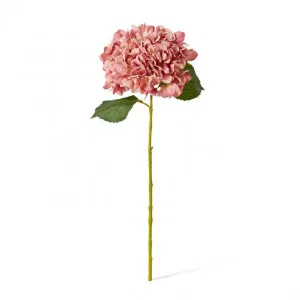 Hydrangea Classic Large Stem - 23 x 23 x 65cm by null, a Plants for sale on Style Sourcebook