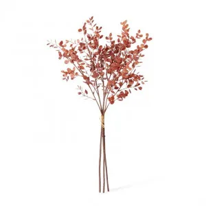 Eucalyptus Decor Bundle - 25 x 25 x 72cm by null, a Plants for sale on Style Sourcebook