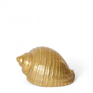 Moon Snail Shell Sculpture - 22 x 16 x 12 cm by null, a Statues & Ornaments for sale on Style Sourcebook