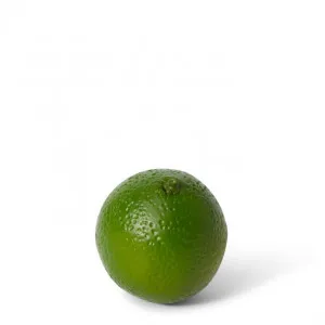 Lime - 6 x 6 x 7cm by null, a Plants for sale on Style Sourcebook
