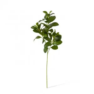 Lush Leaf Spray - 33 x 16 x 75cm by null, a Plants for sale on Style Sourcebook