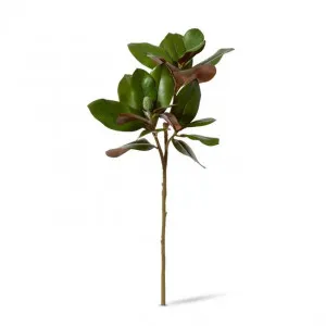 Magnolia Grand Leaves Branch - 38 x 28 x 82cm by null, a Plants for sale on Style Sourcebook