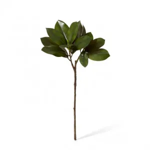 Magnolia Leaf Spray - 40 x 40 x 70cm by null, a Plants for sale on Style Sourcebook