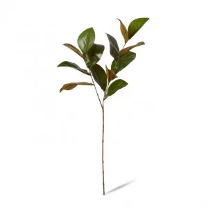 Magnolia Leaf Spray - 25 x 16 x 76cm by null, a Plants for sale on Style Sourcebook