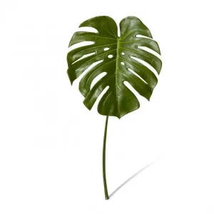 Monstera Leaf - 35 x 32 x 60cm by null, a Plants for sale on Style Sourcebook