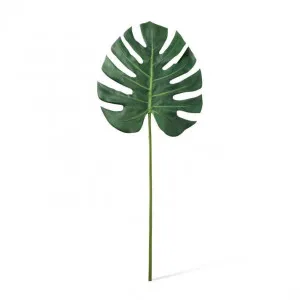 Monstera Lush Stem - 33 x 2 x 78cm by null, a Plants for sale on Style Sourcebook