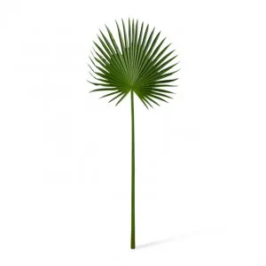 Palm Fan Leaf - 38 x 1 x 84cm by null, a Plants for sale on Style Sourcebook