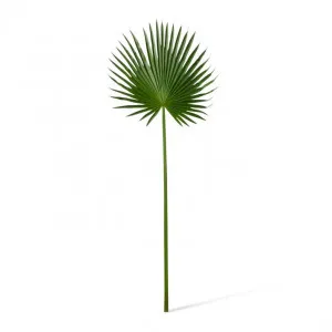 Palm Fan Leaf - 45 x 1 x 112cm by null, a Plants for sale on Style Sourcebook