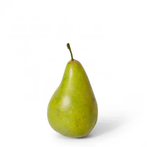 Pear Bartlet - 7 x 7 x 13cm by null, a Plants for sale on Style Sourcebook