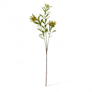 Protea Orientale Spray - 42 x 16 x 99cm by null, a Plants for sale on Style Sourcebook