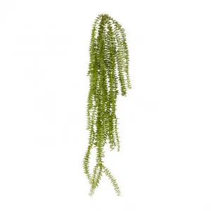 Sawtooth Hanging Plant - 16 x 14 x 80cm by null, a Plants for sale on Style Sourcebook