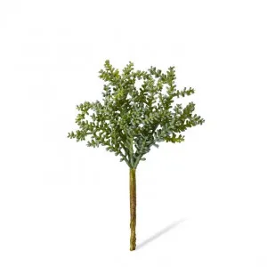 Senecio Stem - 12 x 12 x 19cm by null, a Plants for sale on Style Sourcebook