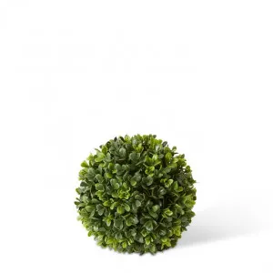 Topiary Boxwood Ball (Outdoor) - 18 x 18 x 18cm by null, a Plants for sale on Style Sourcebook