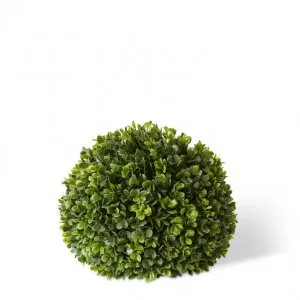 Topiary Boxwood Ball (Outdoor) - 24 x 24 x 24cm by null, a Plants for sale on Style Sourcebook