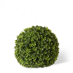 Topiary Boxwood Ball (Outdoor) - 32 x 32 x 32cm by null, a Plants for sale on Style Sourcebook