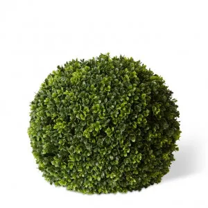 Topiary Boxwood Ball (Outdoor) - 42 x 42 x 42cm by null, a Plants for sale on Style Sourcebook